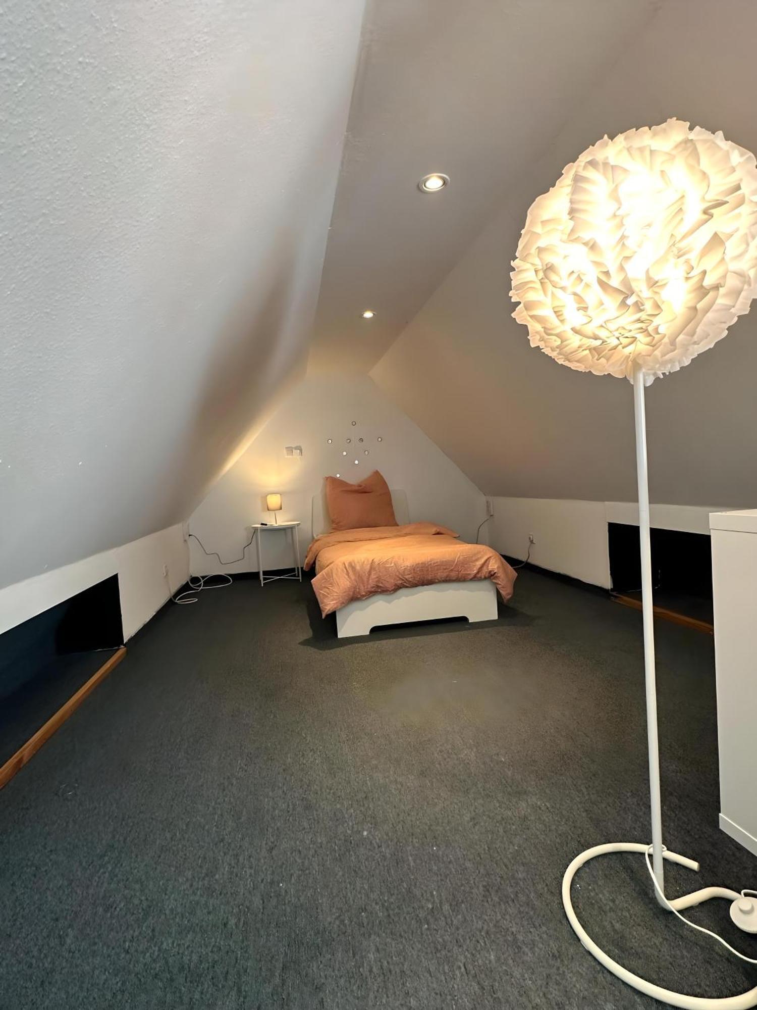Apartment Souha II - Grosse Unterkunft In Bentheim 巴特本特海姆 外观 照片